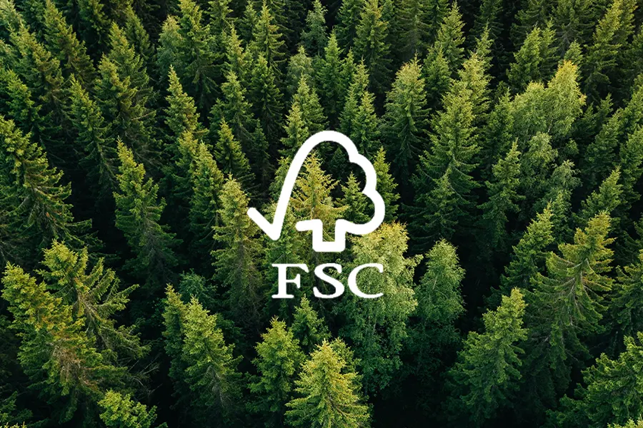 Superior Quality Assurance.webp